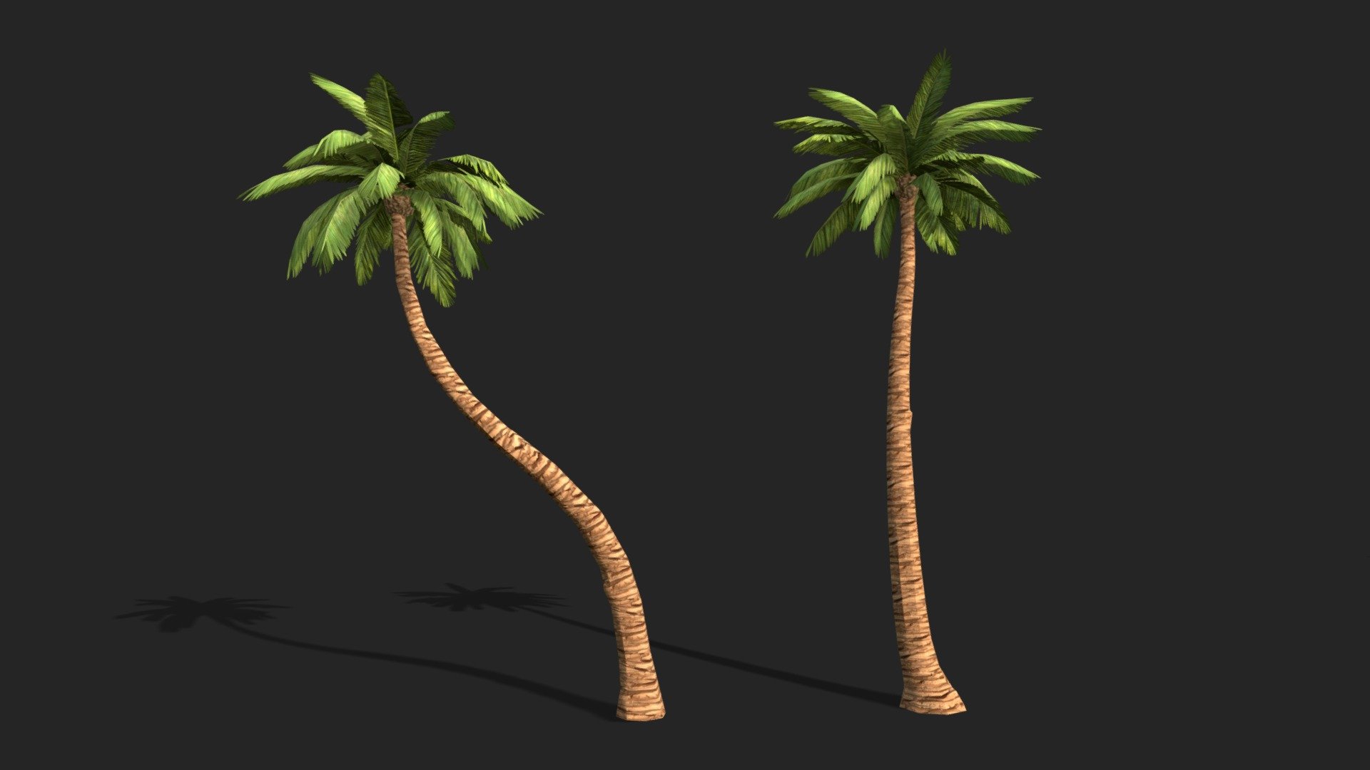 Palm Trees (LowPoly) 3d model