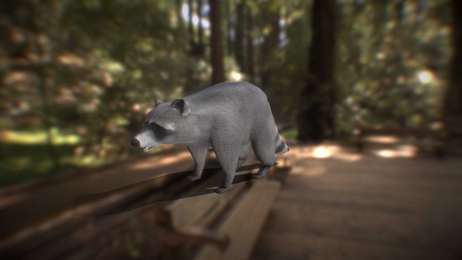 Racoon Low-Poly 3d model