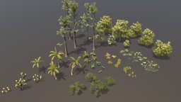 Tropical Island foliage