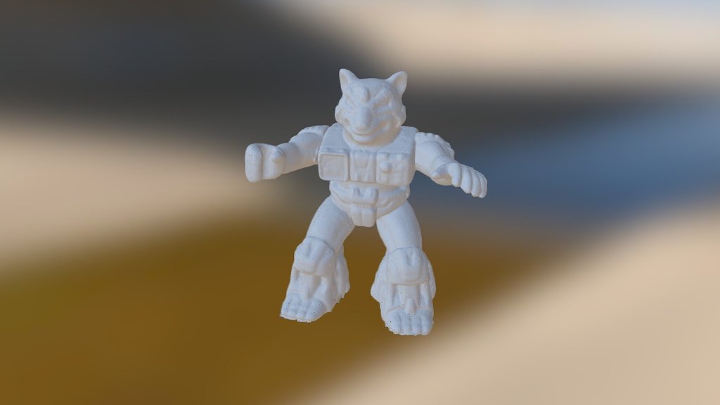 Raccoon 3d model