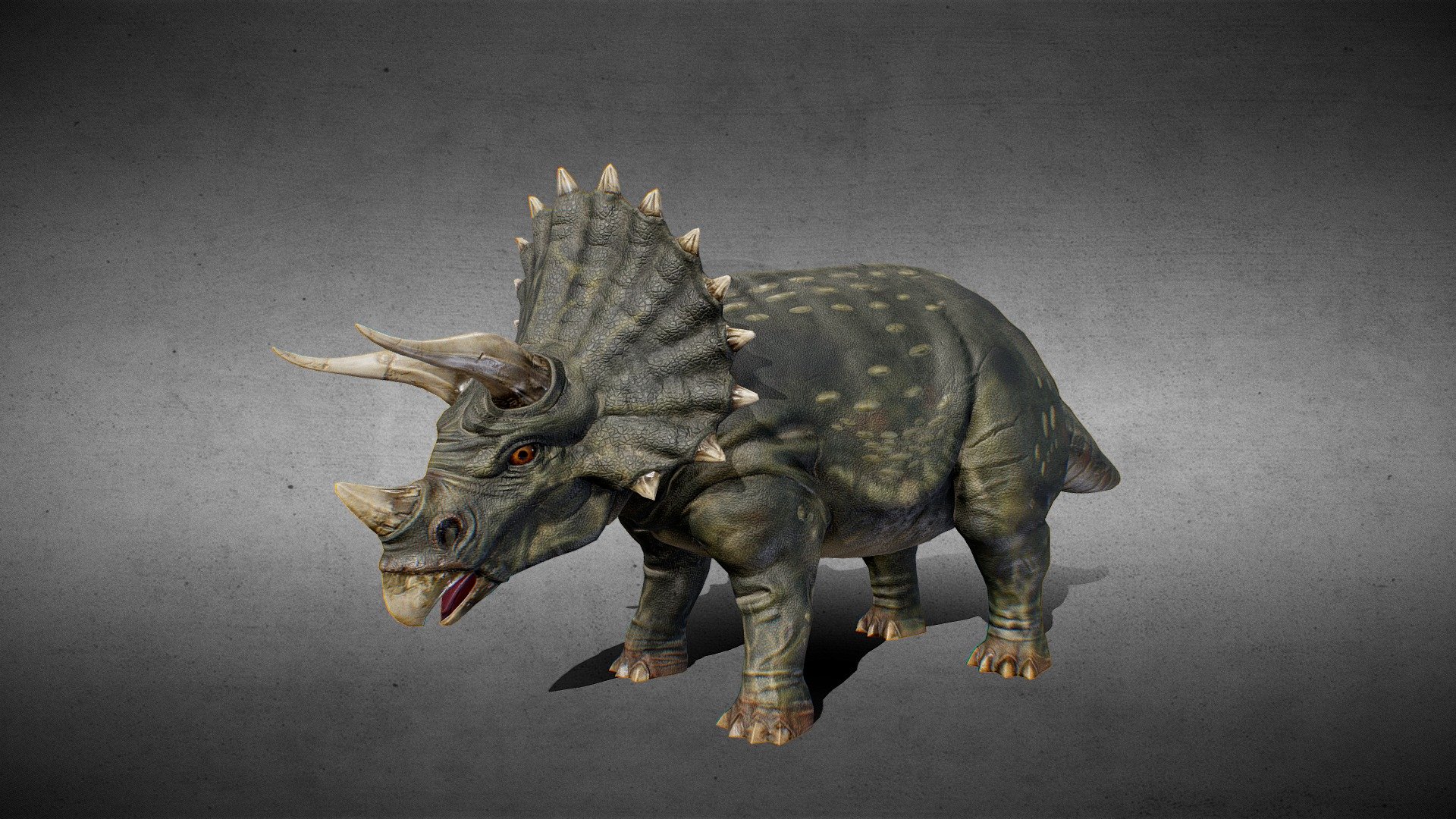 Triceratops 3d model