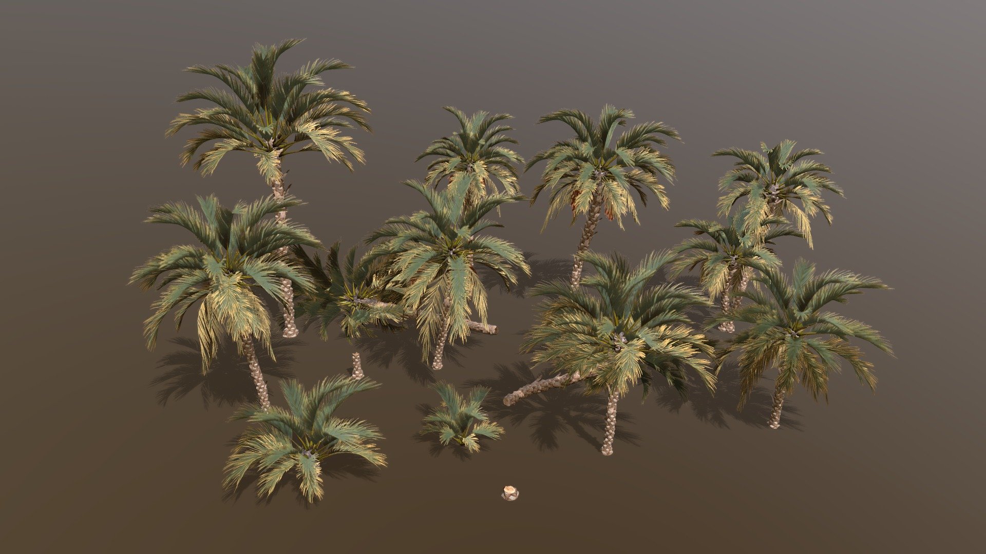 Date Palm Pack 3d model