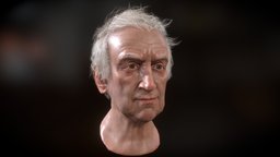 Low Poly Jonathan Pryce Head