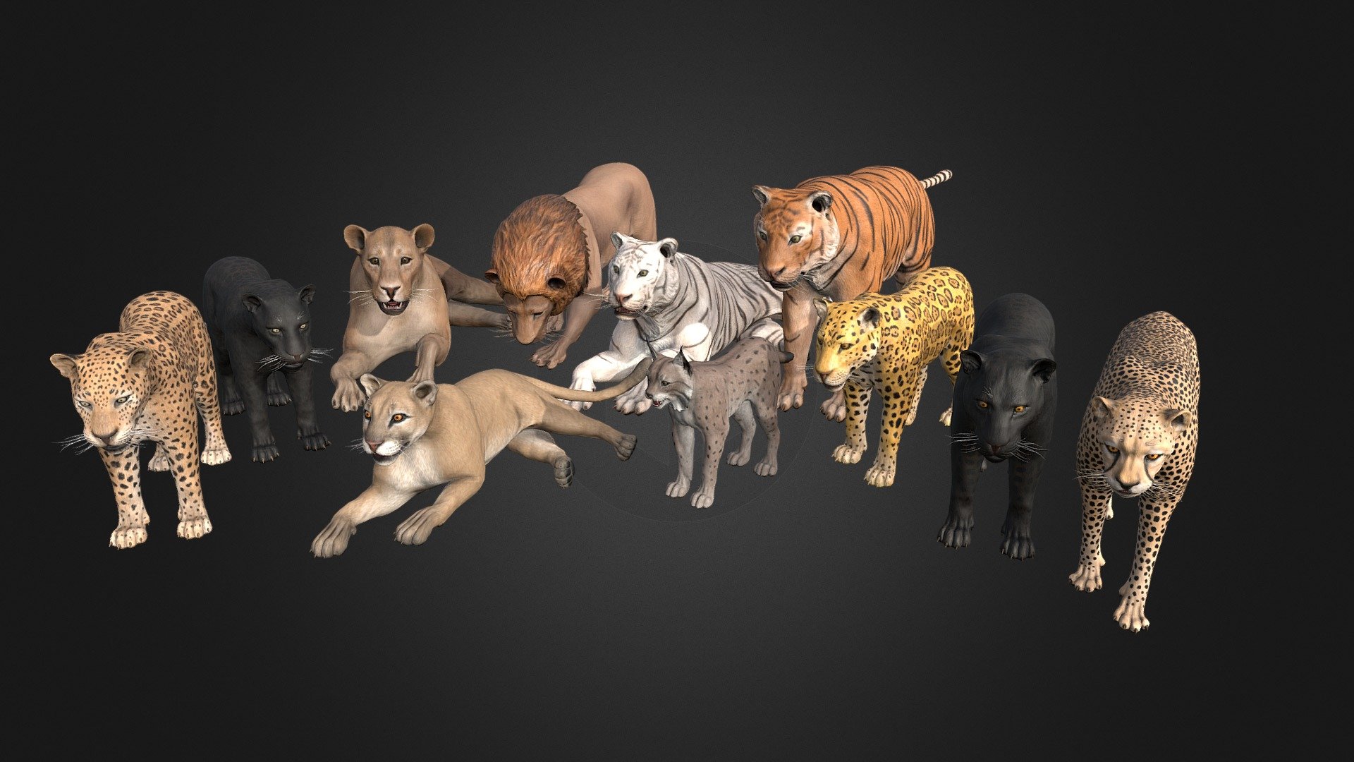 Pack Of Wild Cats 3d model