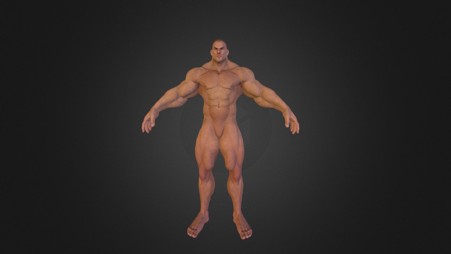 muscle man 3d model