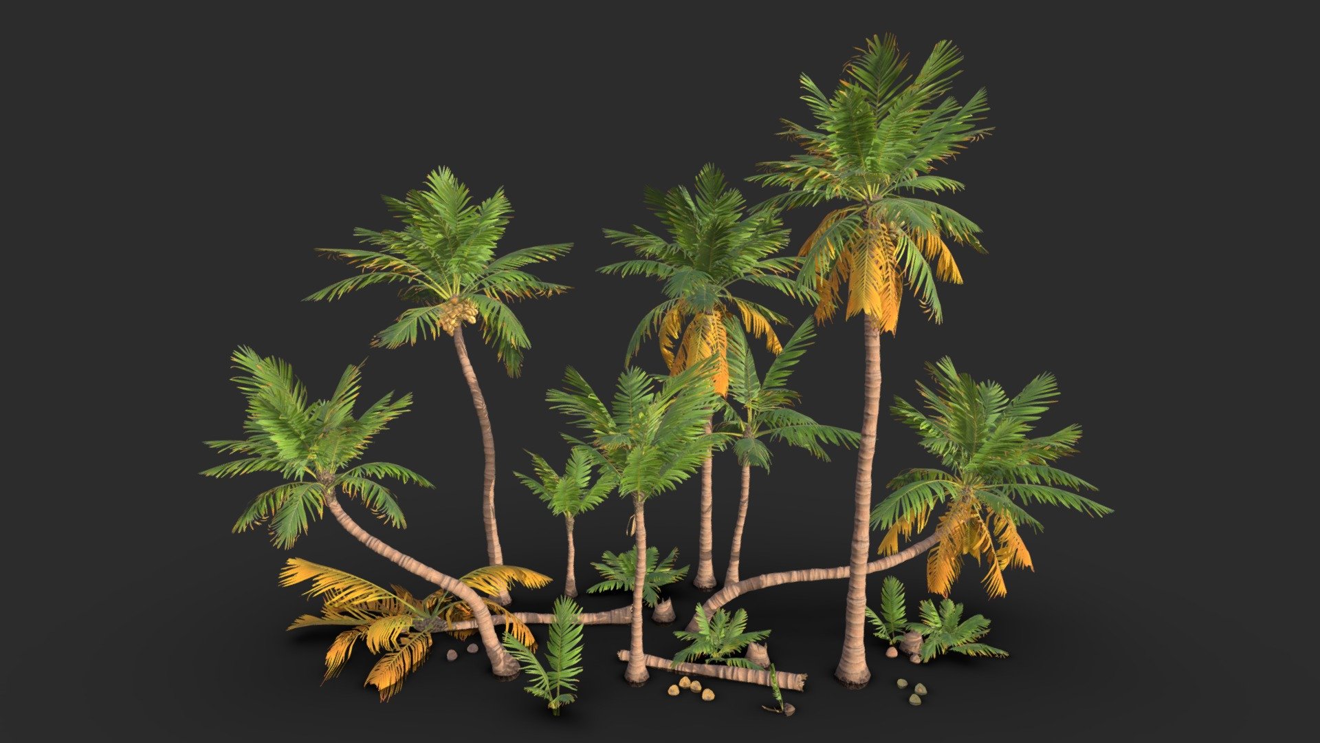 Coconut Palm Trees 3d model