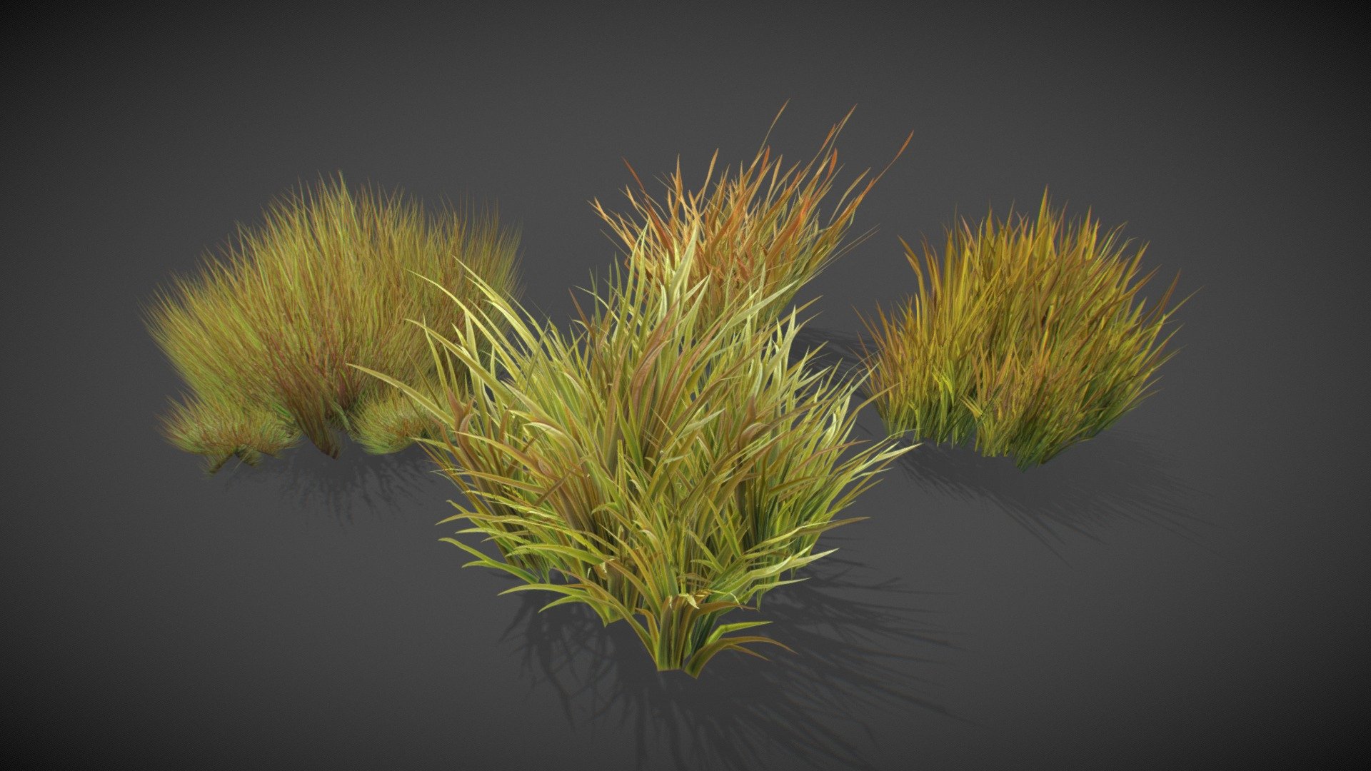 Grass Pack 3d model