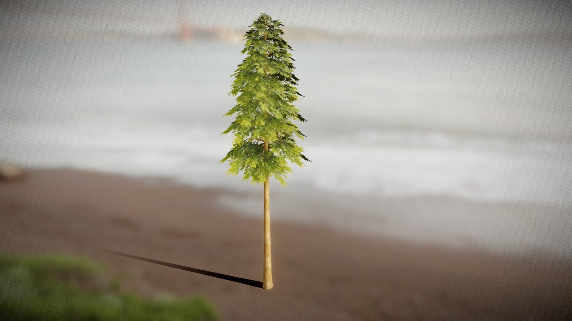 Realistic Pine Tree Model 4 3d model