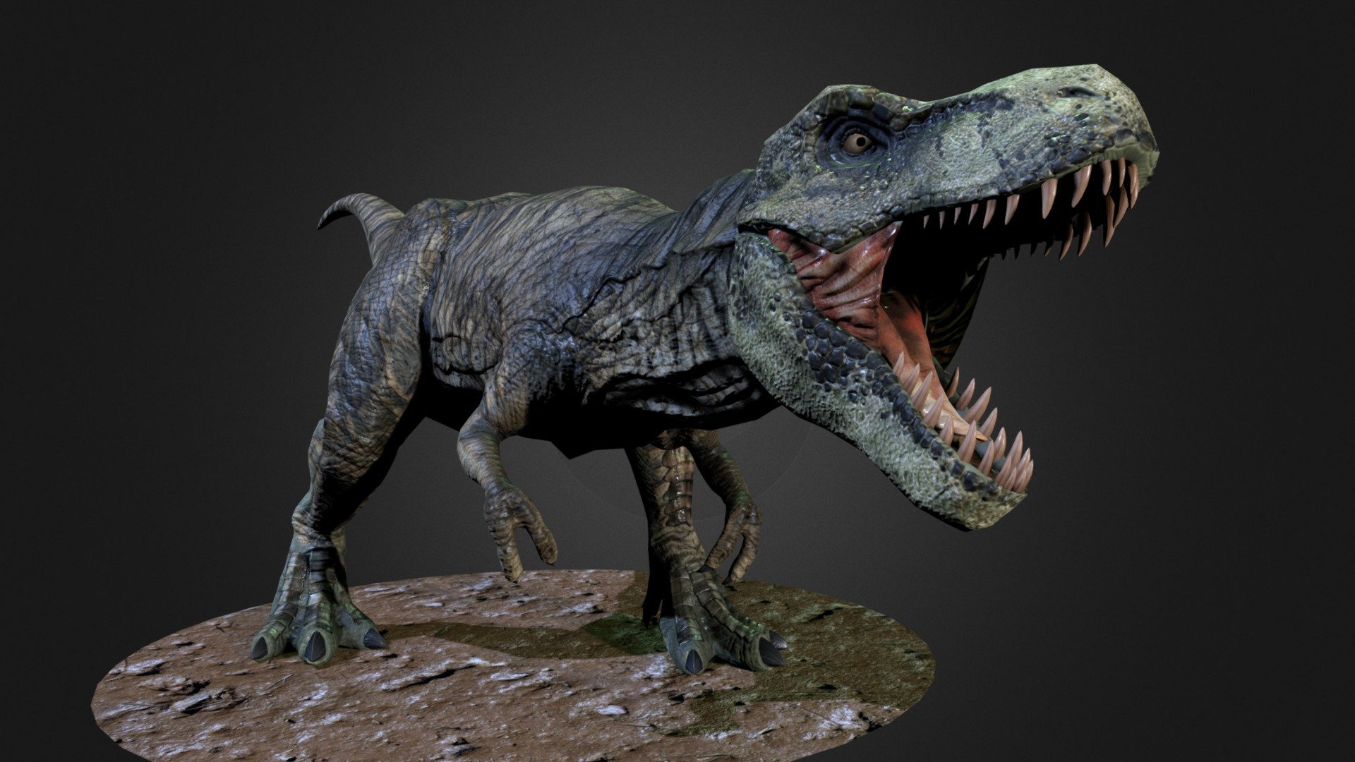 Tyrannosaurus Rex 3d model