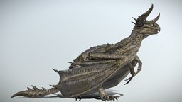 Dragon Animated