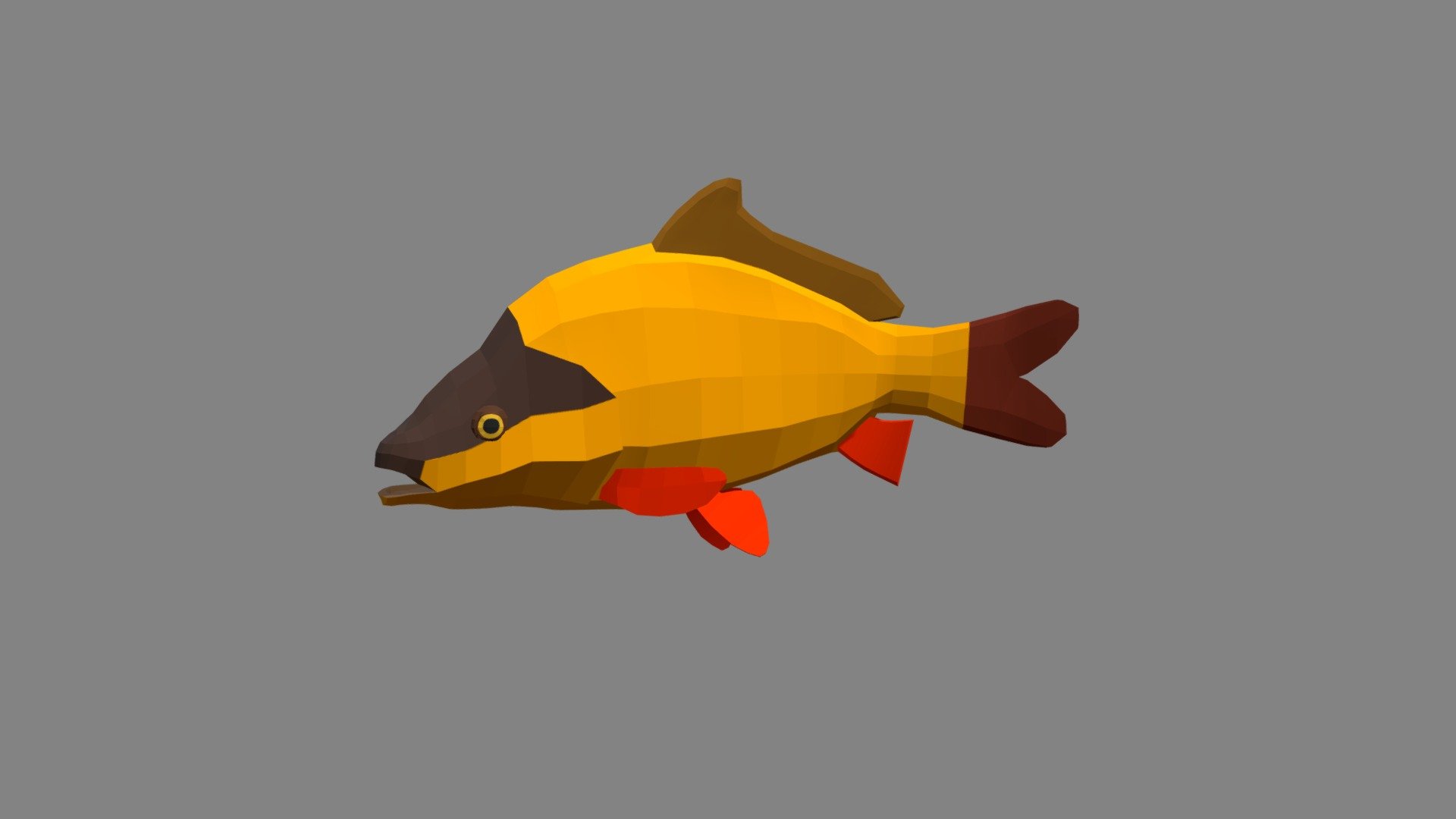 Carp 3d model