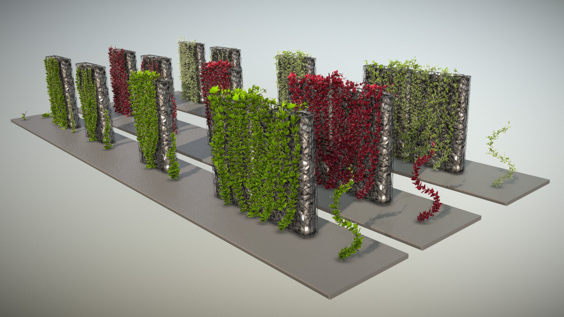 Vines 3d model