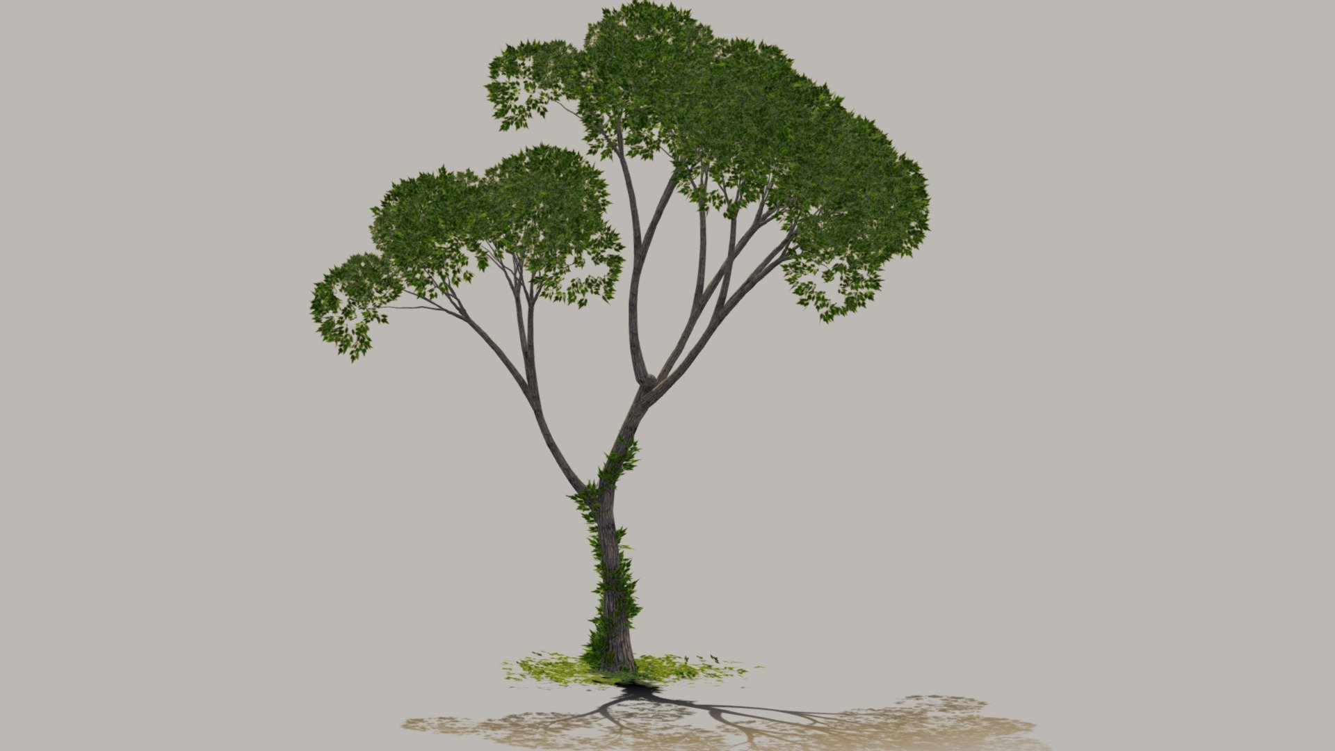 Tree 1001 3d model