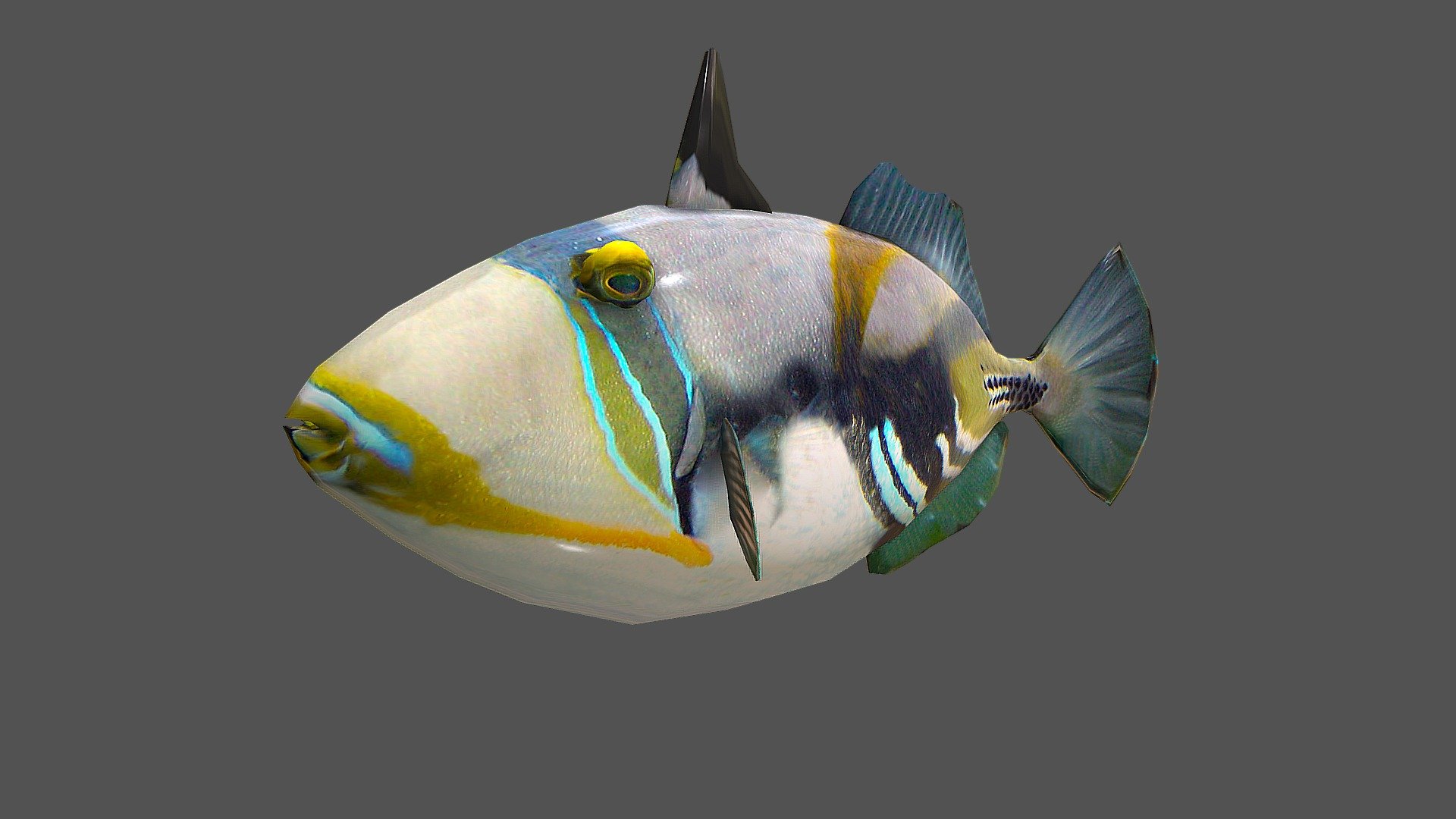 Picasso Triggerfish 3d model