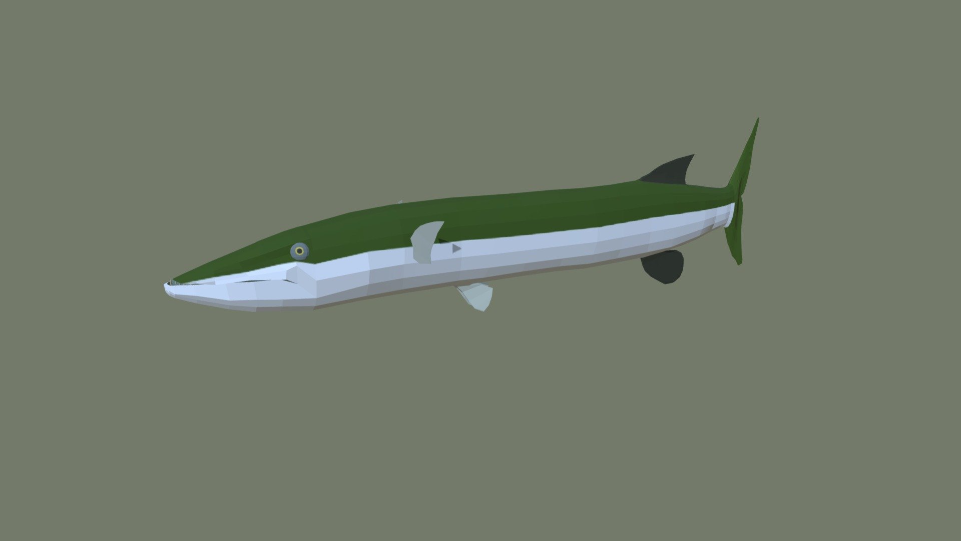 Barracuda 3d model