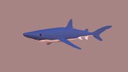 Blue Shark