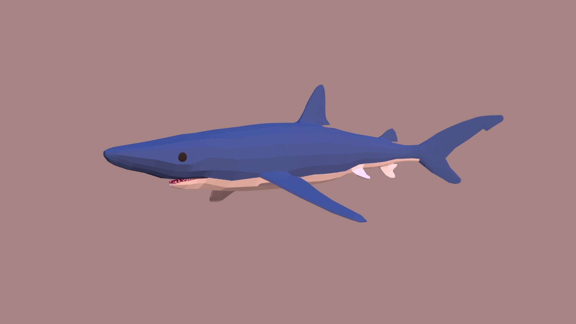 Blue Shark 3d model