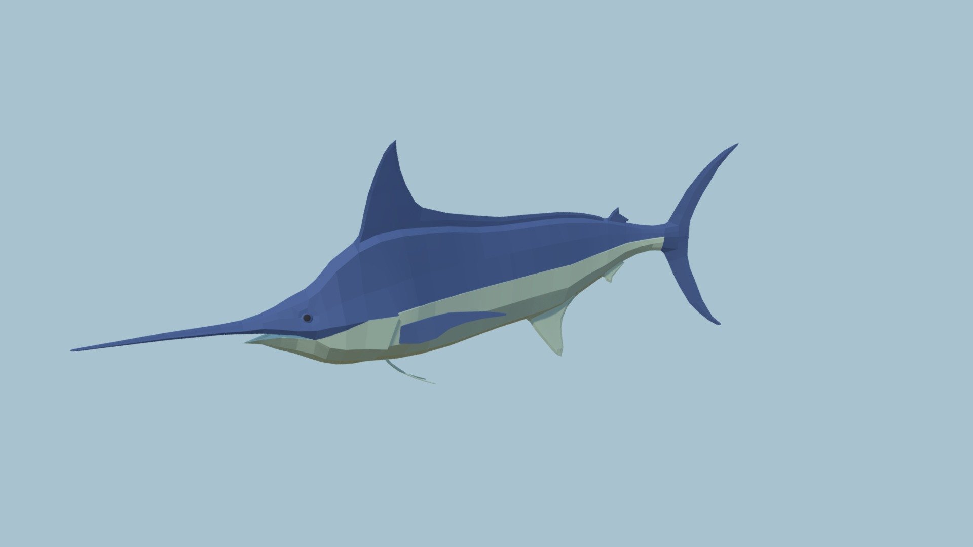 Blue Marlin 3d model