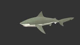 Bull Shark