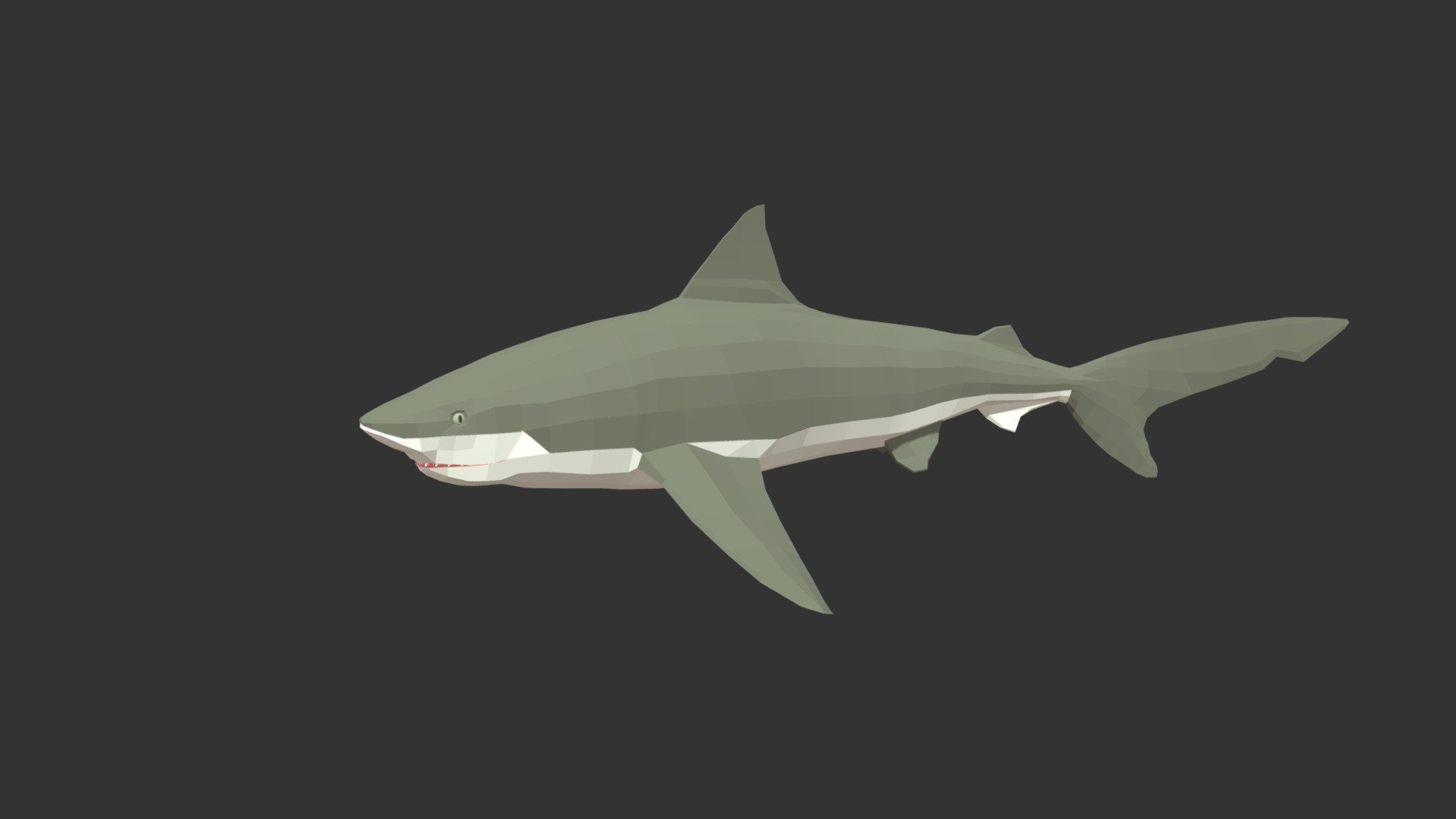 Bull Shark 3d model