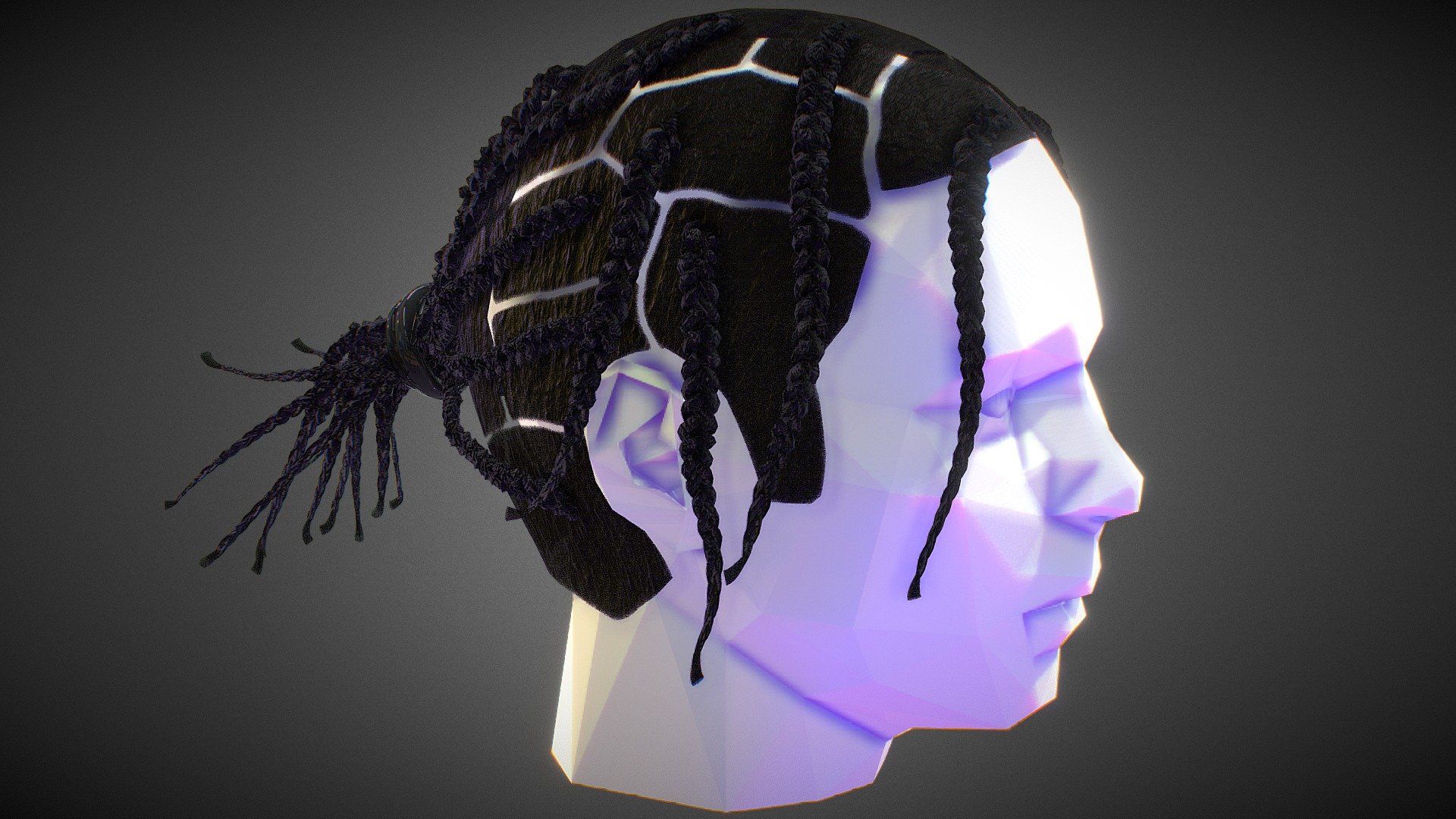 Asap Rocky Inspired Braids 3d model