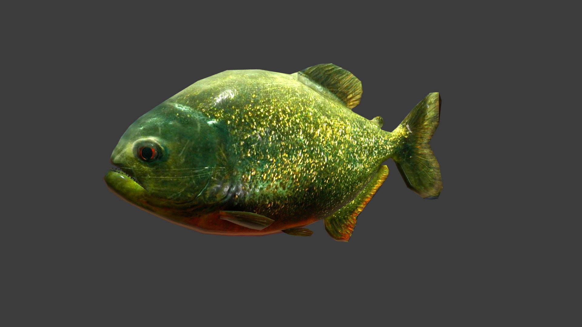 Piranha 3d model