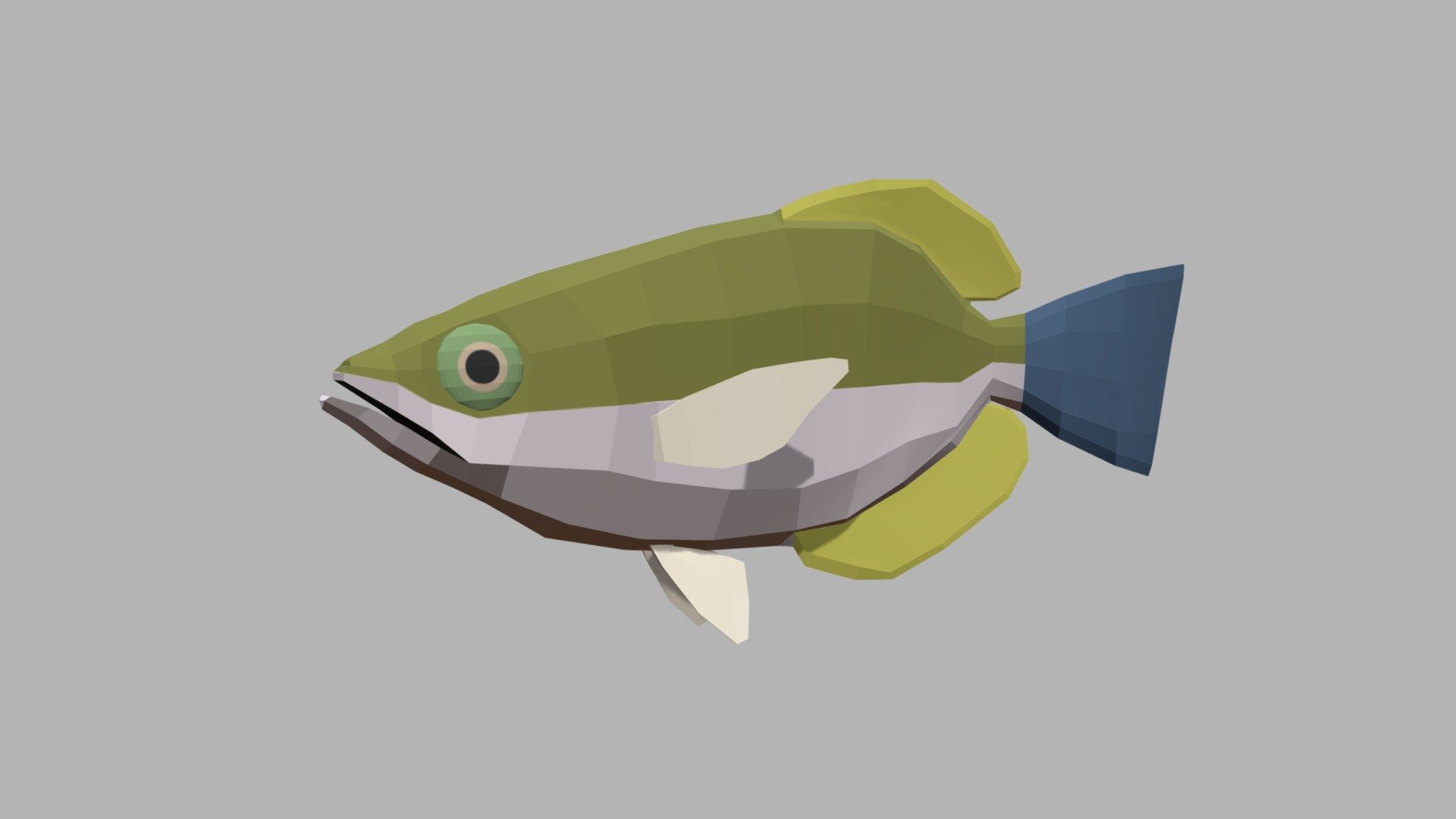 Archerfish 3d model