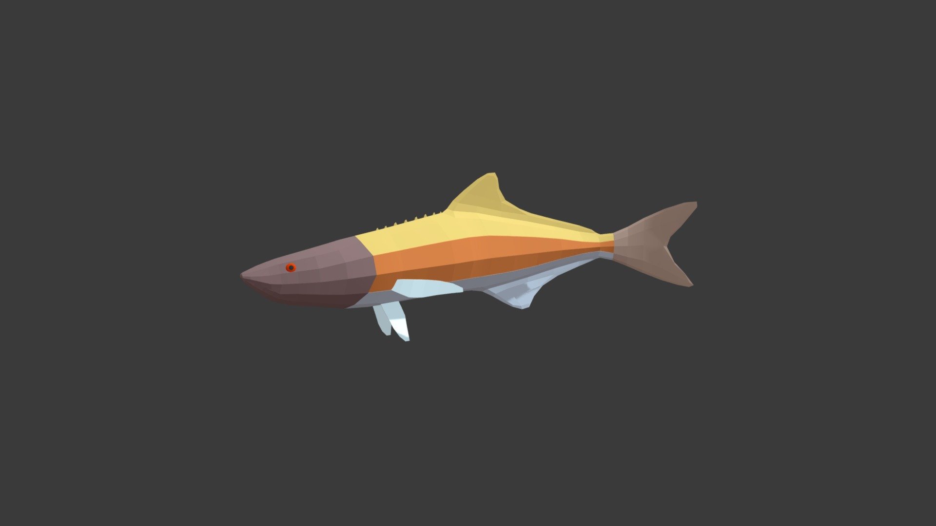 Cobia 3d model