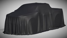 Car Cover Pick-Up