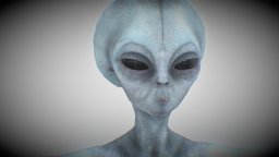 Grey Alien