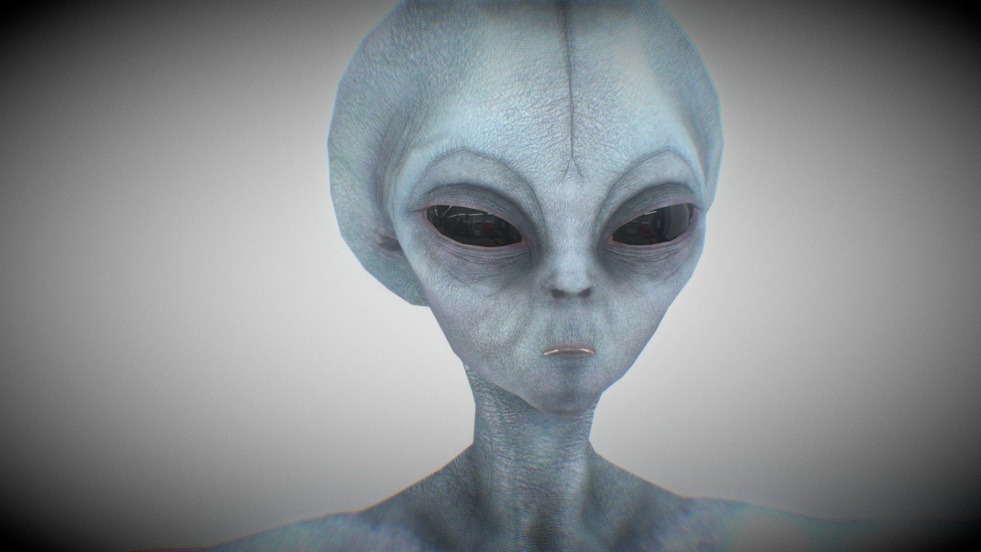 Grey Alien 3d model