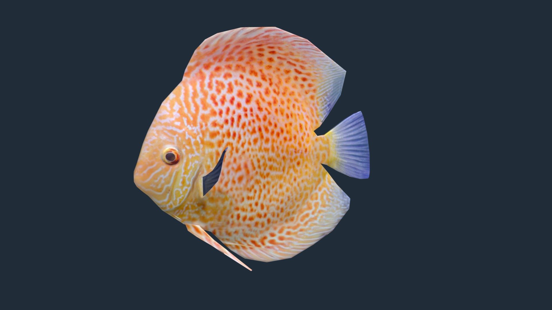 Discus 3d model