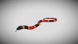 Medhue Coral Snake