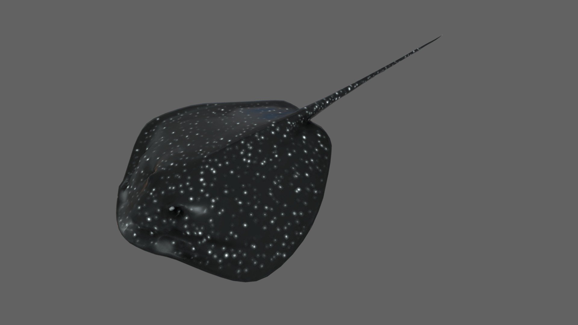 Stingray 3d model