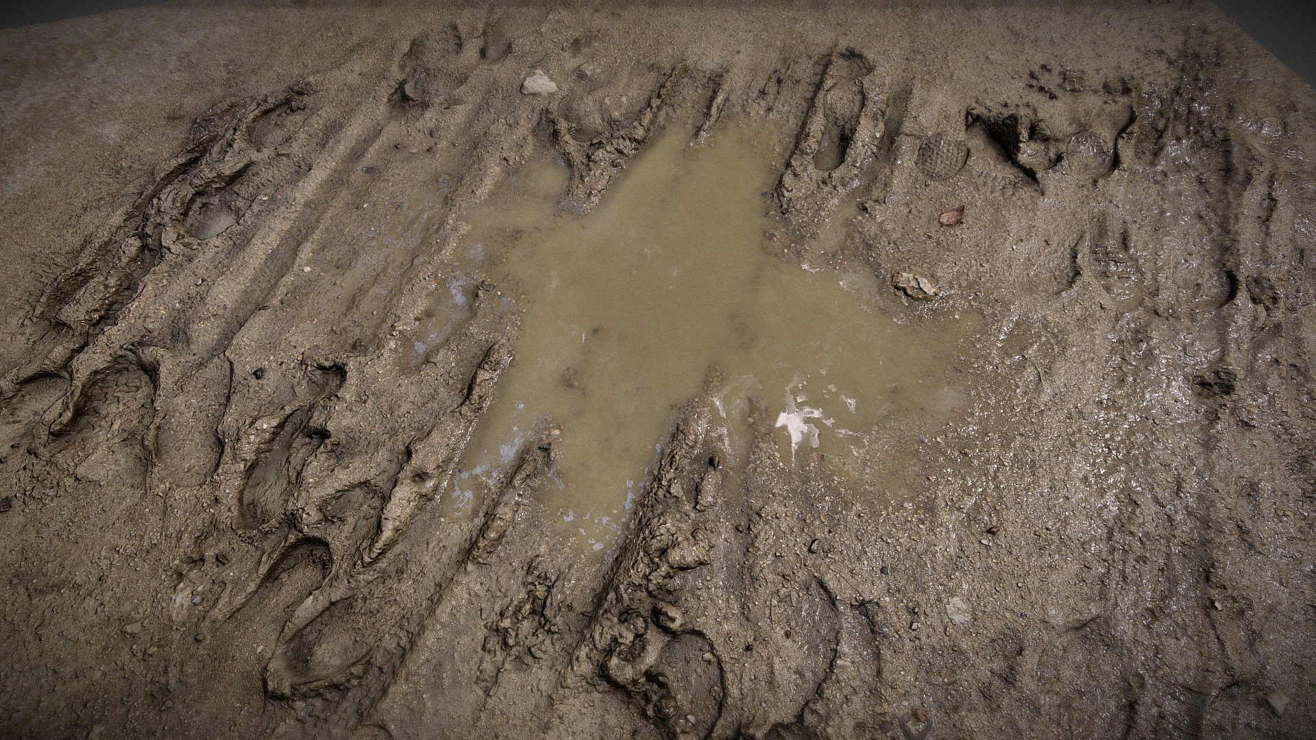 Mud puddle 3d model