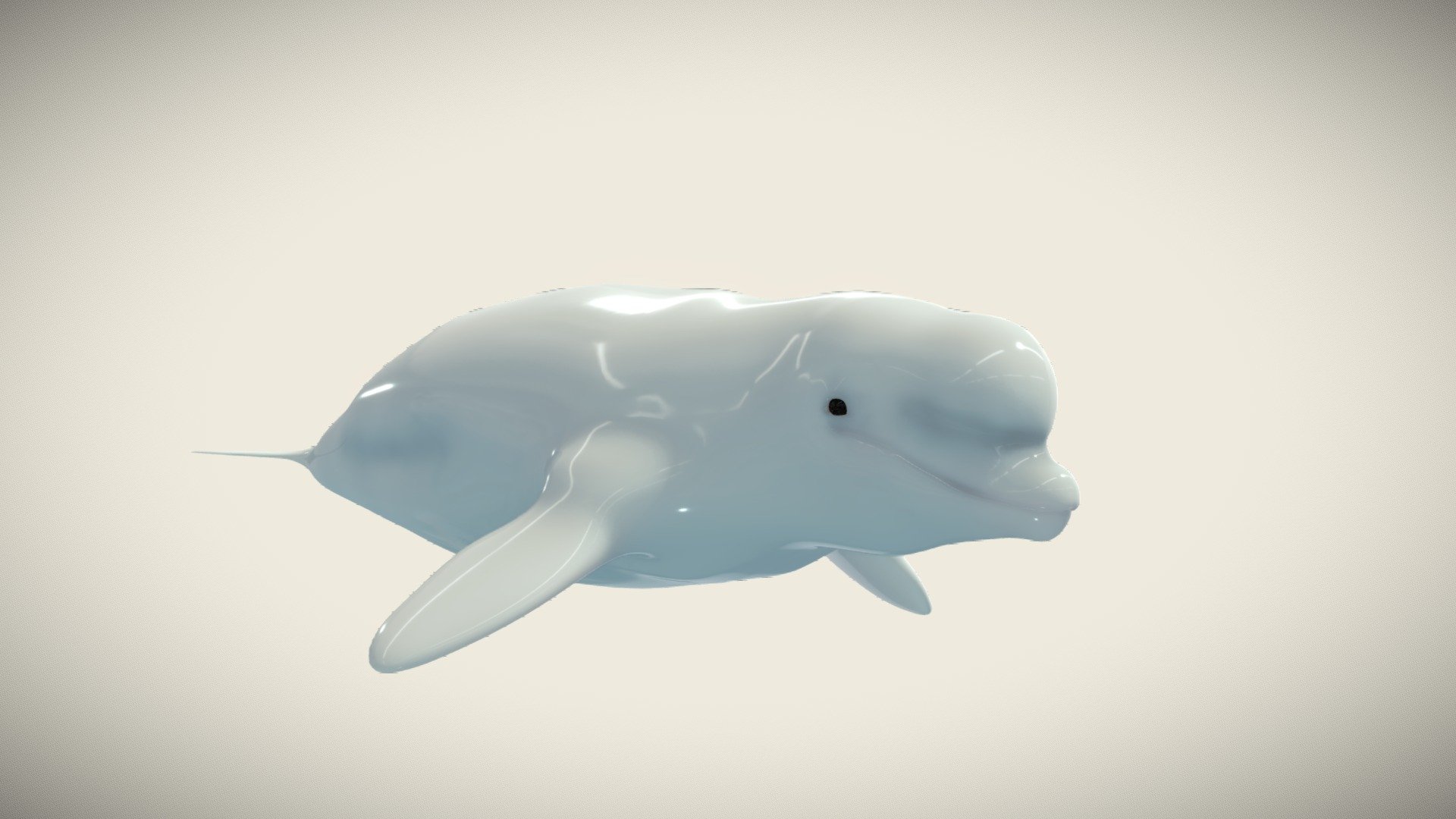 Beluga whale 3d model