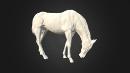 Horse modelled in ZBrush