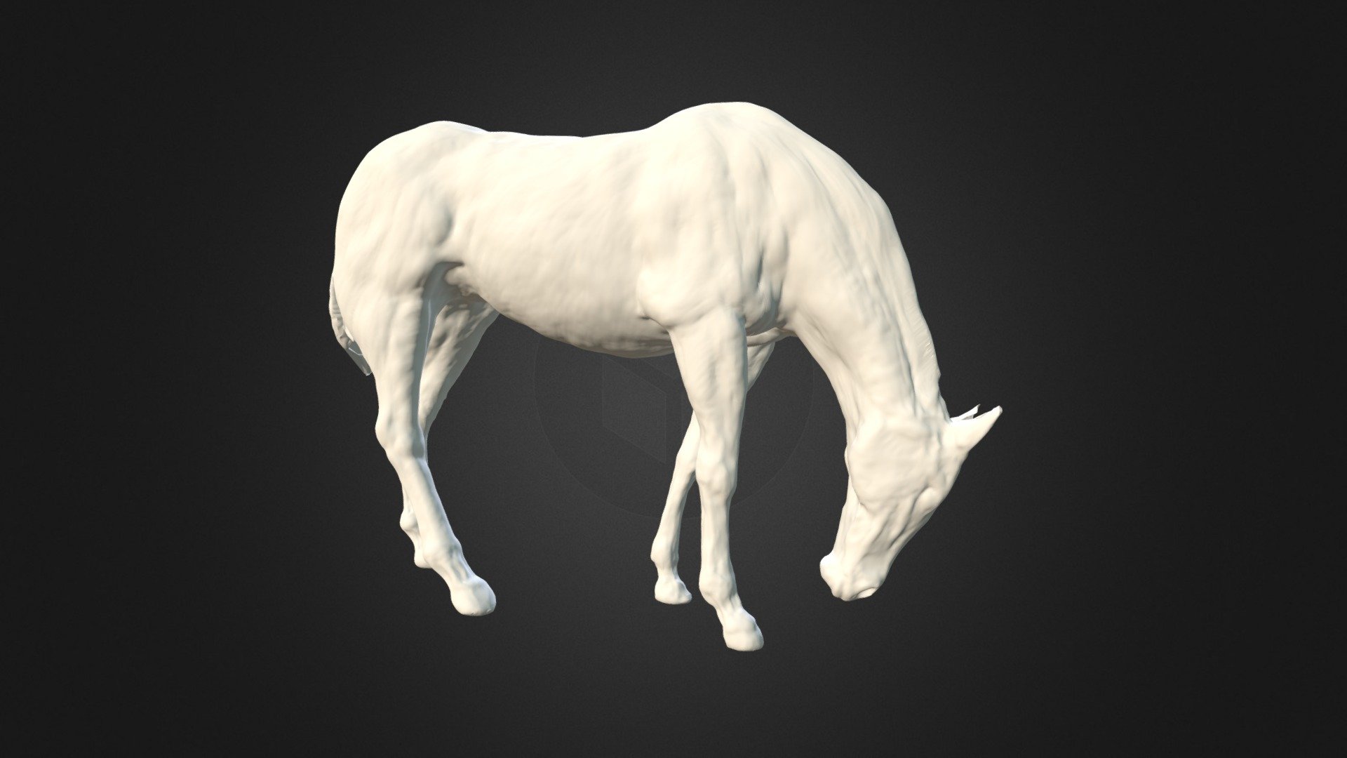 Horse modelled in ZBrush 3d model