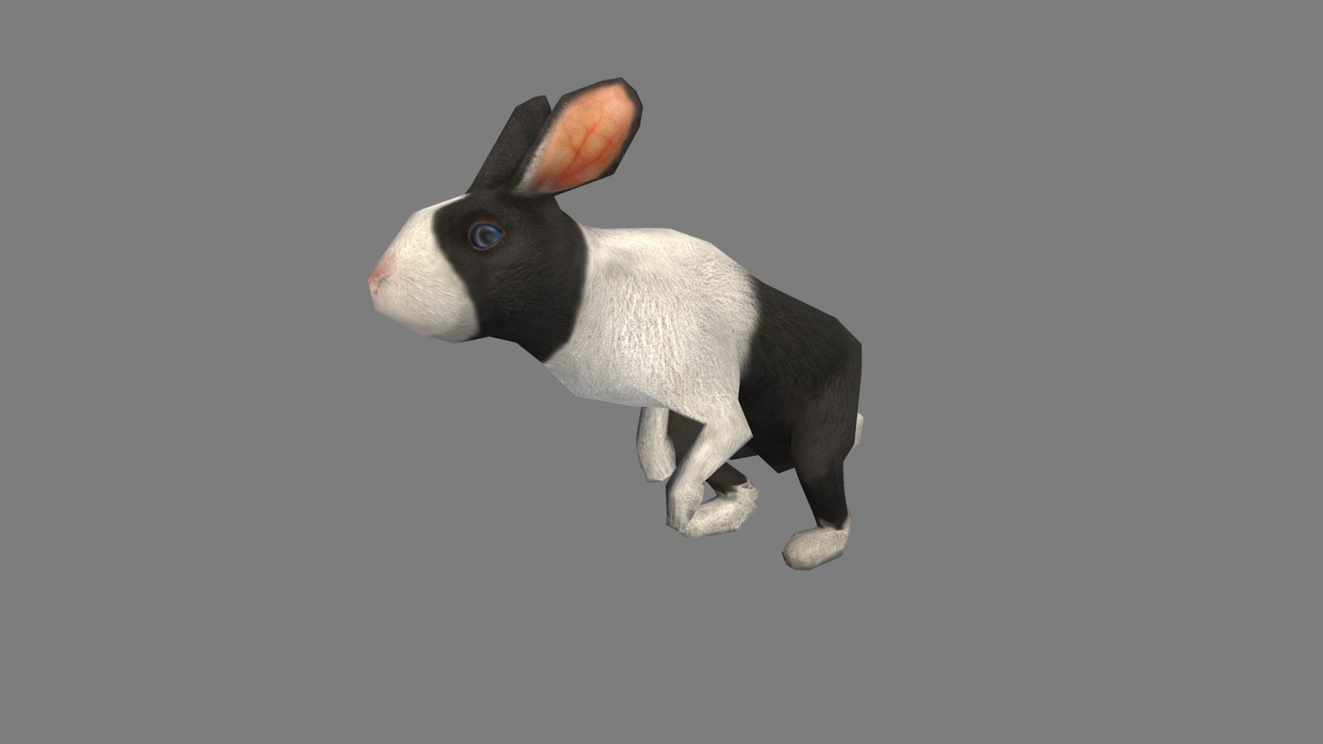 Rabbit 3d model