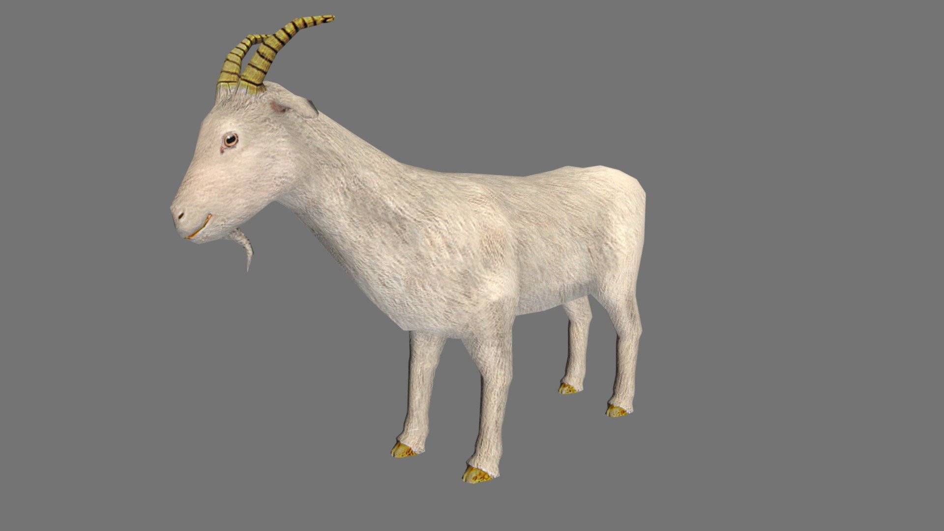 Goat 3d model