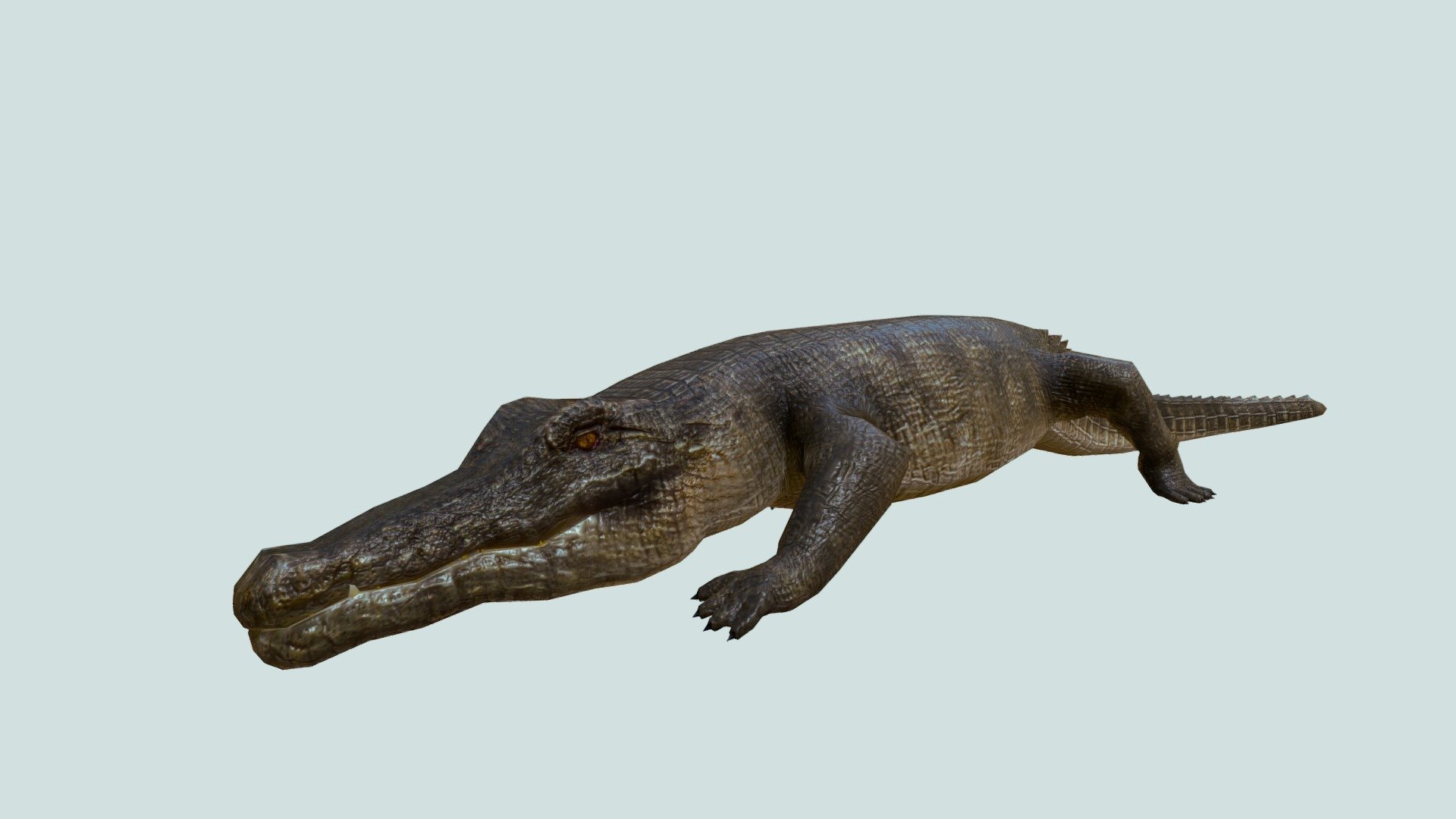 CROCODILE 3d model