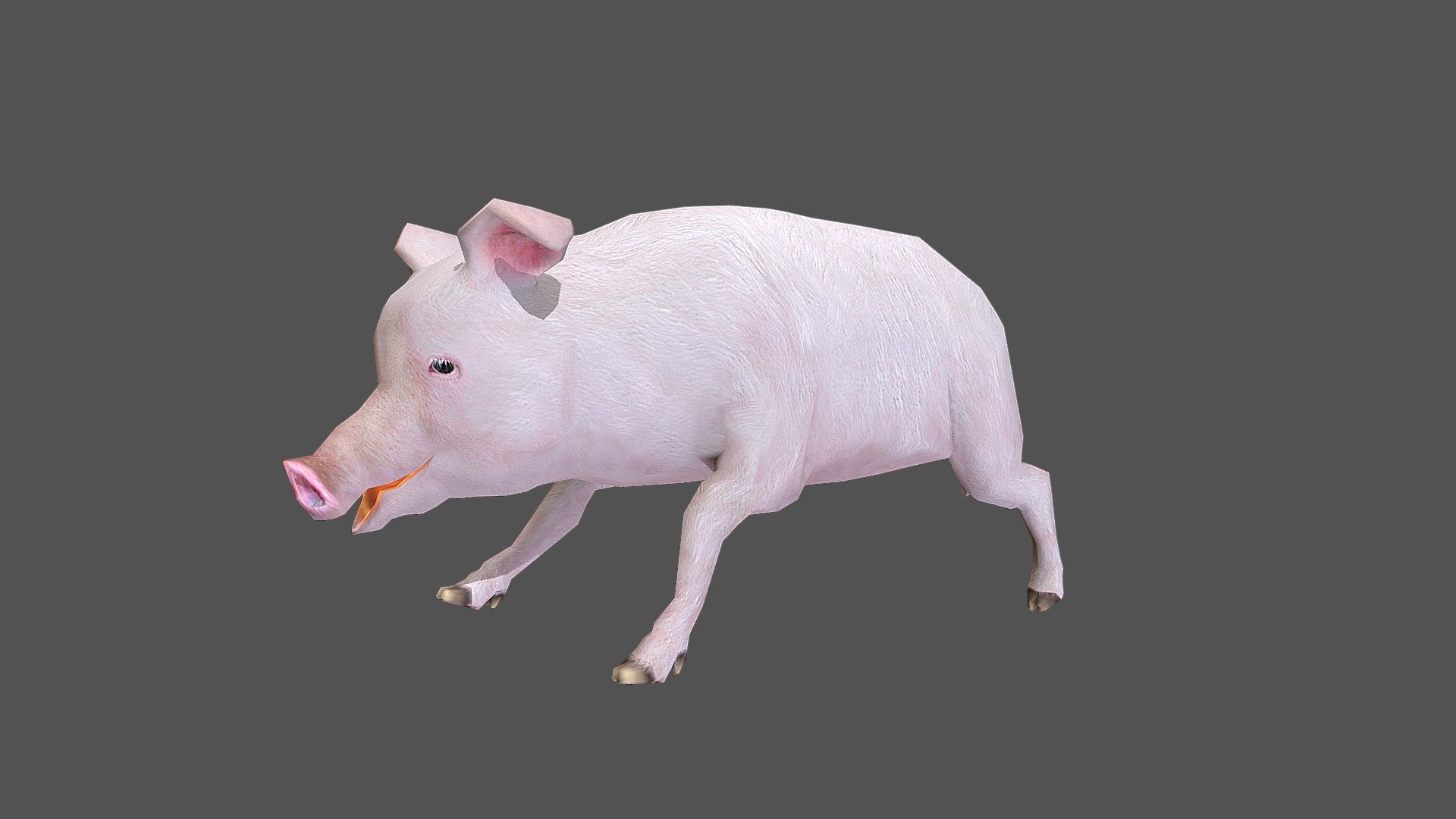 Pig 3d model