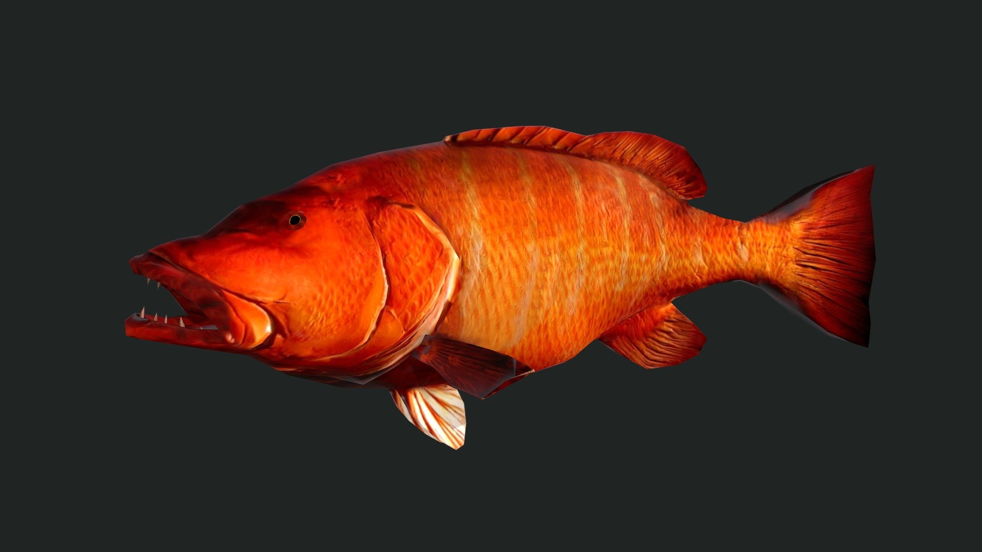 Cubera Snapper 3d model