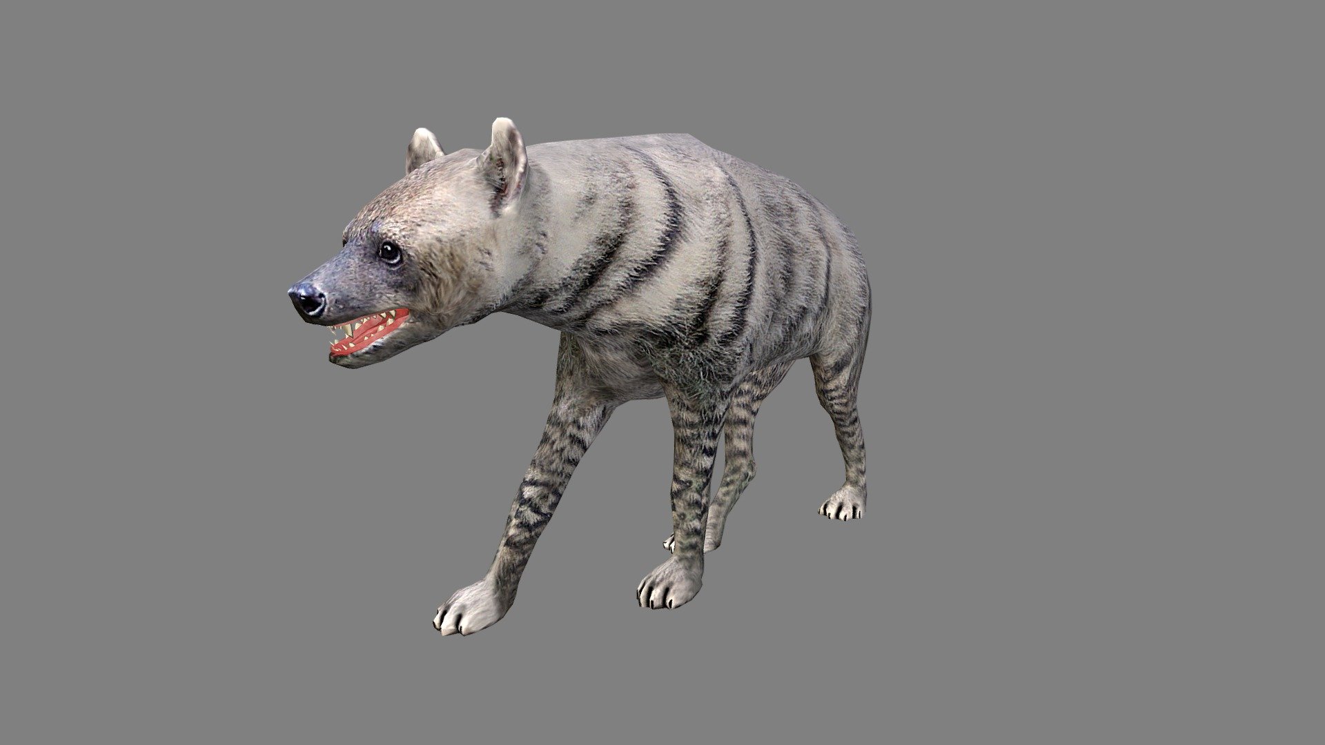 Hyena 3d model