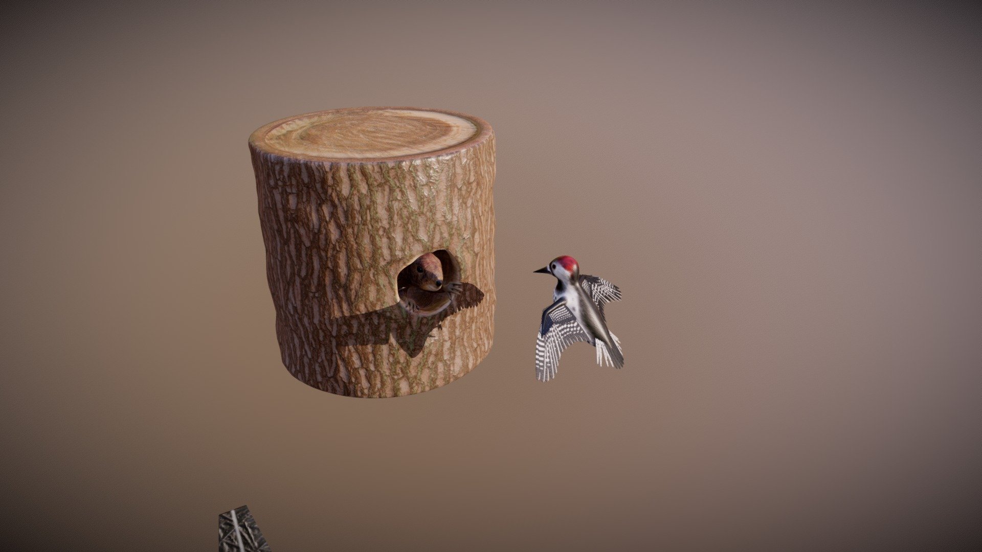 WoodPecker 3d model