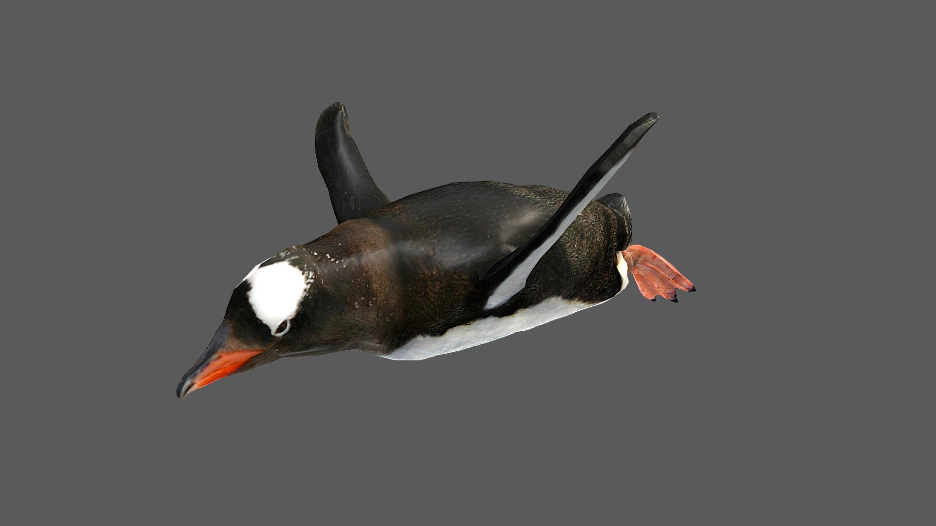 Penguin 3d model