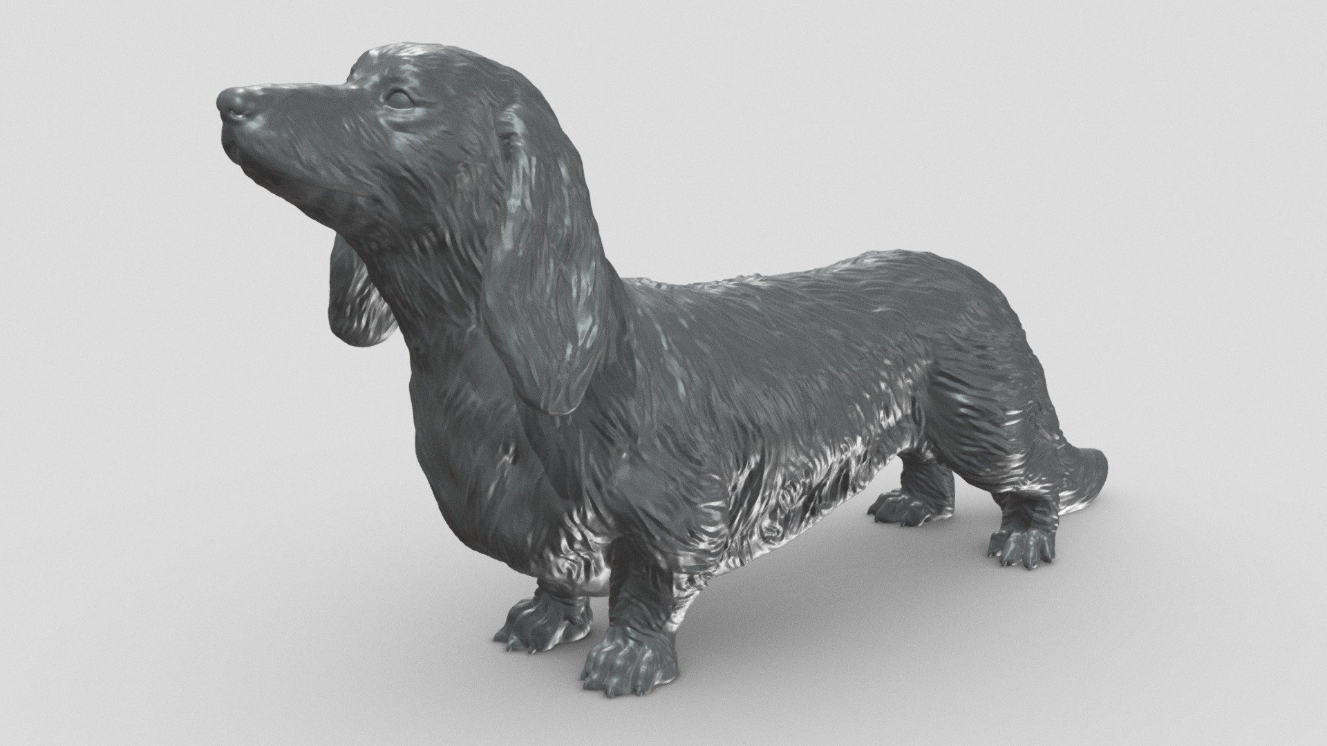 Long Haired Dachshund V2 3D print model 3d model