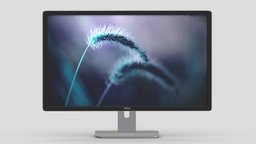 Dell 27 Ultra HD 4K Monitor P2715Q