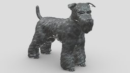 schnauzer V1 3D print model