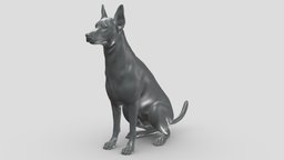 Zwergpinscher V2 3D print model